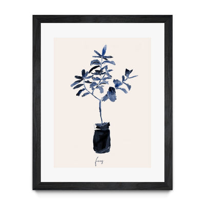 Ficus Blues
