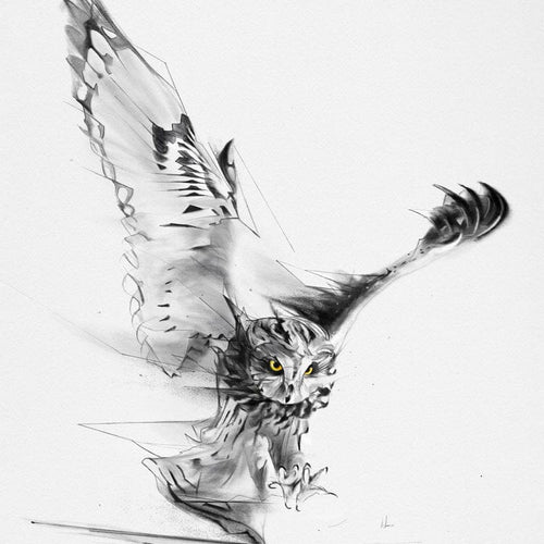 Owl in the Wild b/w