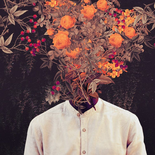 Bloom