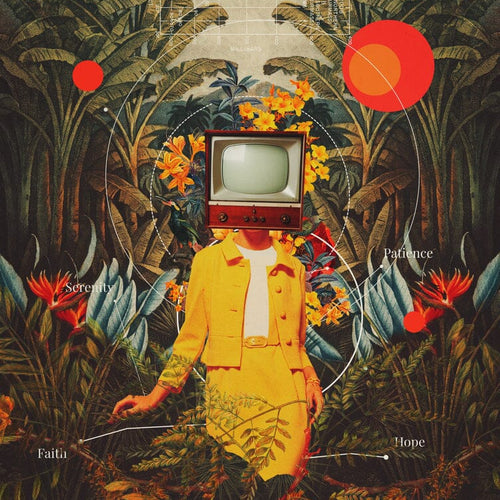 She Came from the Wilderness