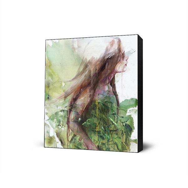 Growing Toward the Sun