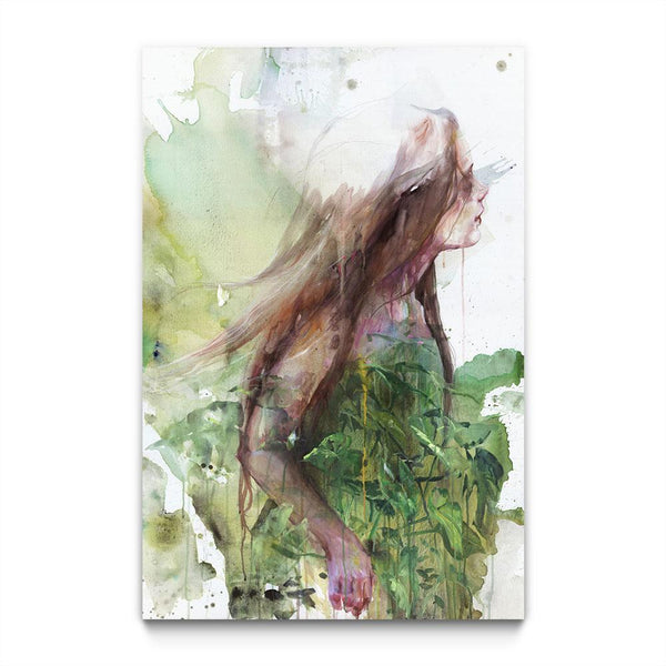 Growing Toward the Sun