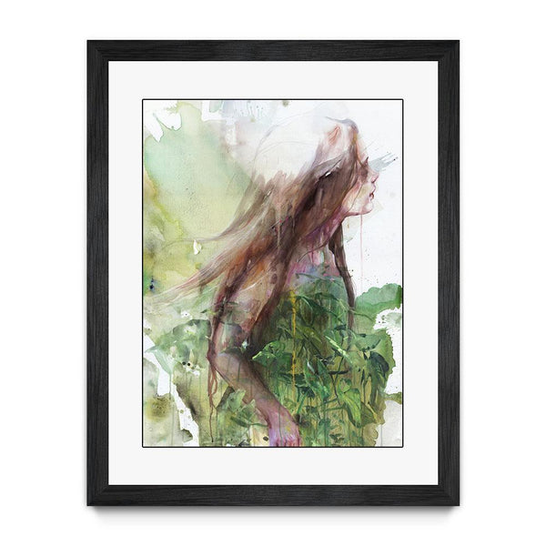 Growing Toward the Sun