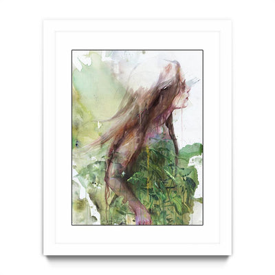 Growing Toward the Sun