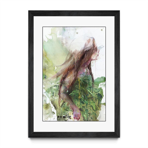 Growing Toward the Sun