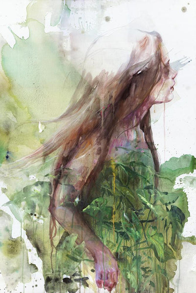 Growing Toward the Sun