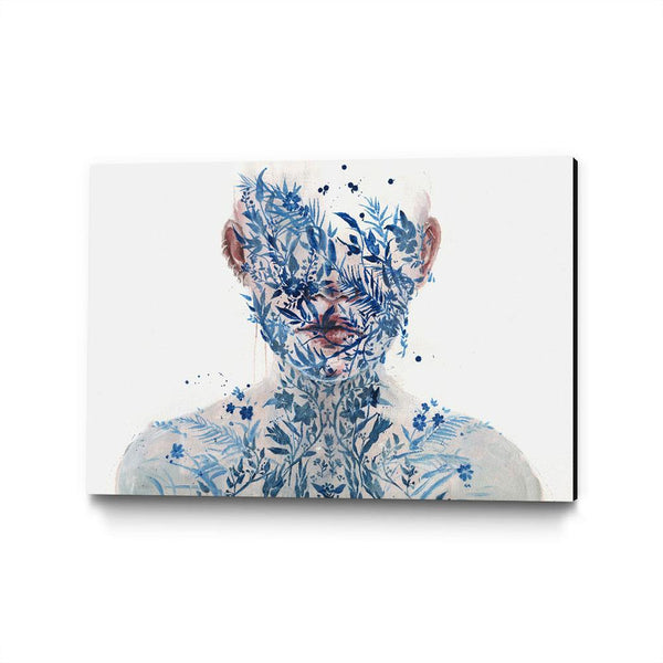 The Frailest Nature II