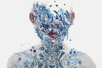 The Frailest Nature II