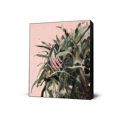 Comprehending its Shape