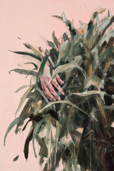 Comprehending its Shape