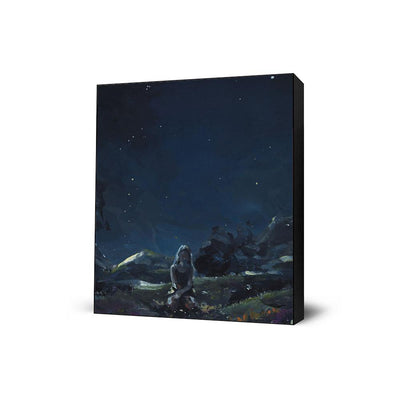 La Quiete Della Notte