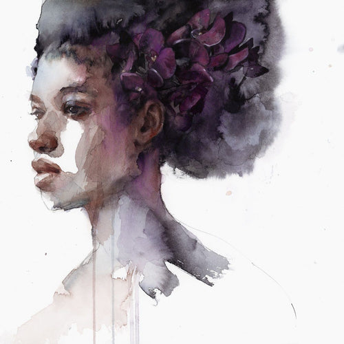 Black Orchid