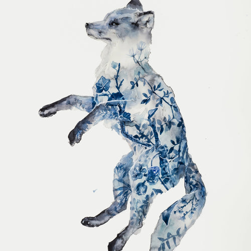Night Fox