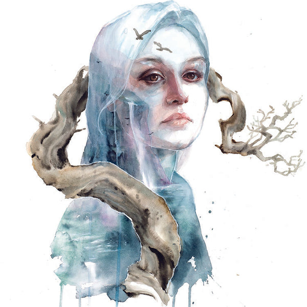 A New Land is Rising