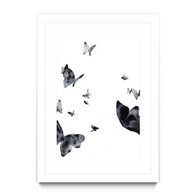 Shadow Flying Butterflies