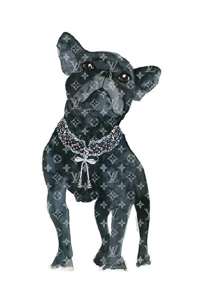 Frenchie Fashion Dog