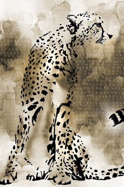 Cheetah