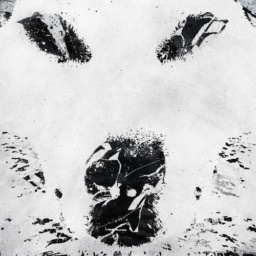 Lone Wolves