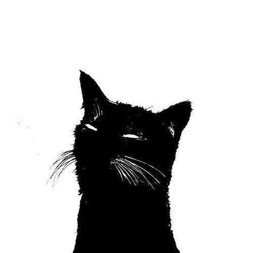 Me Ow