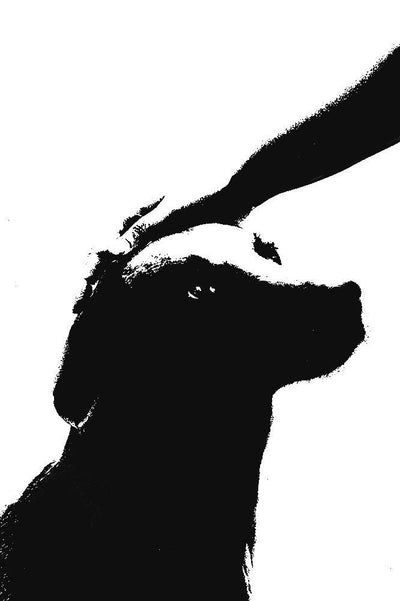 Hold On We're Going Home