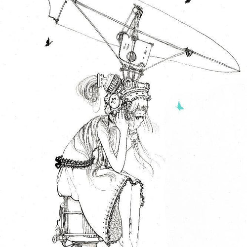 The Plane