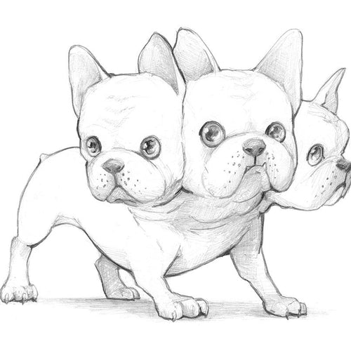 Cerberus