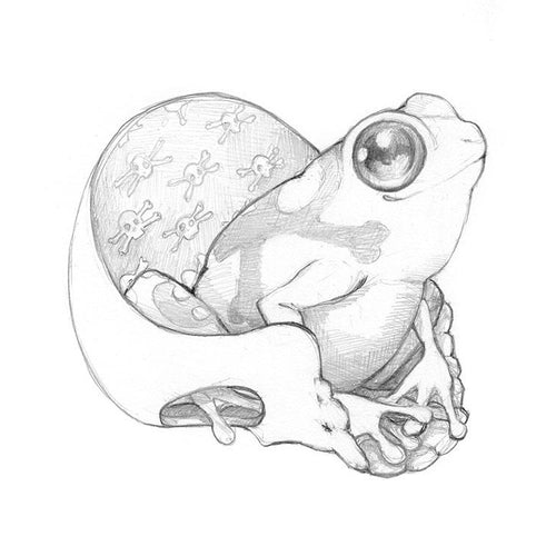 Poisonous Frog