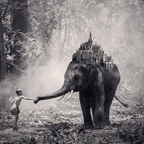 Dreamland