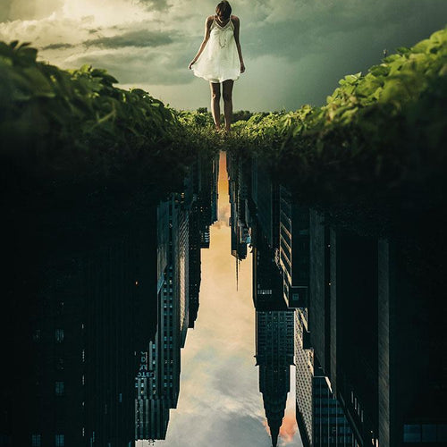 Whimsical Dream
