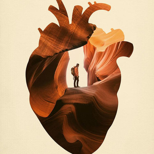 Heart Explorer