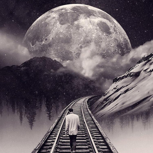 Whimsical Journey
