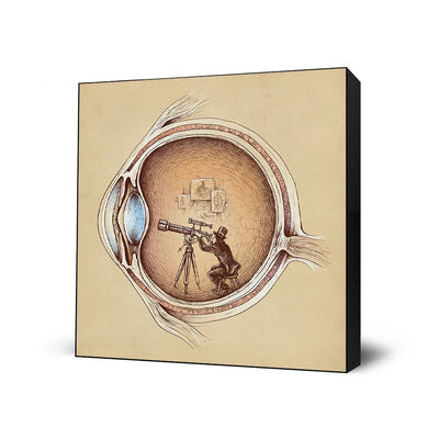 Extraordinary Observer