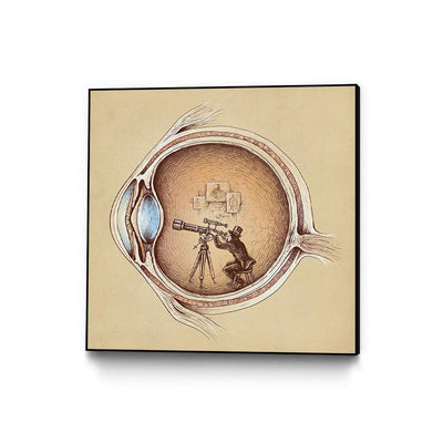 Extraordinary Observer