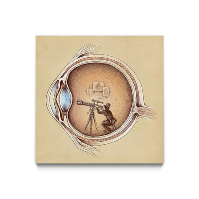 Extraordinary Observer