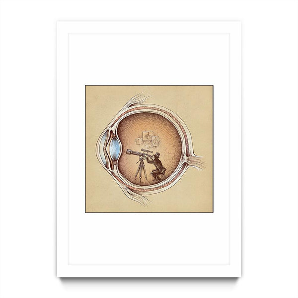 Extraordinary Observer