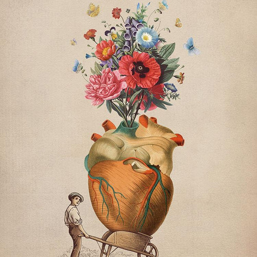 A Gift For You