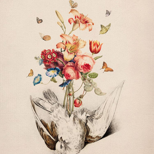 Beautiful Decay