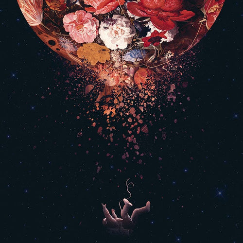 Beautiful Illusion