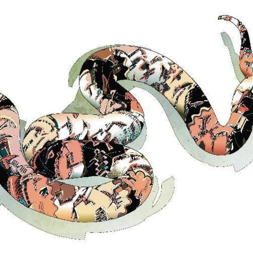 Boa Constrictor