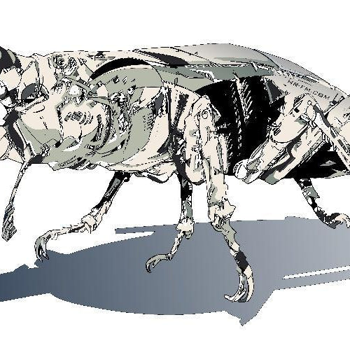 Stag Beetle