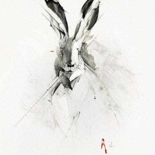 Mr. Rabbit