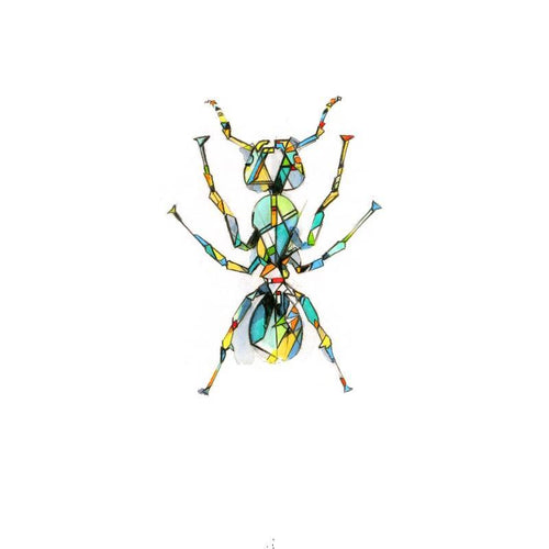 Ant