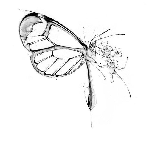 Butterfly Fuel