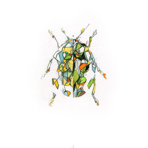 Ladybird
