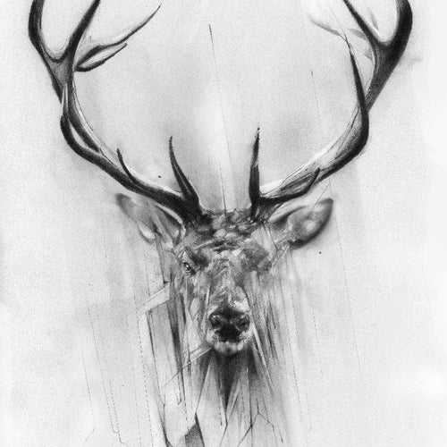 Red Deer