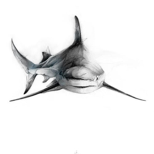 Shark 2