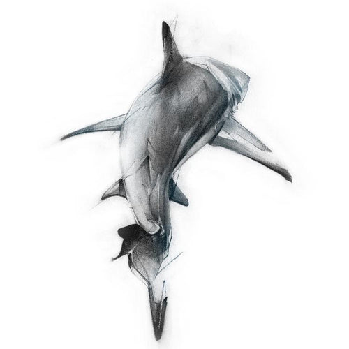 Shark 3