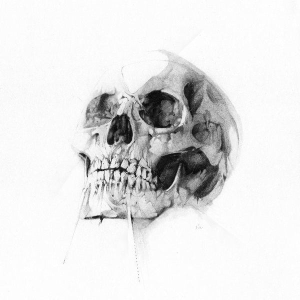 Skull 52