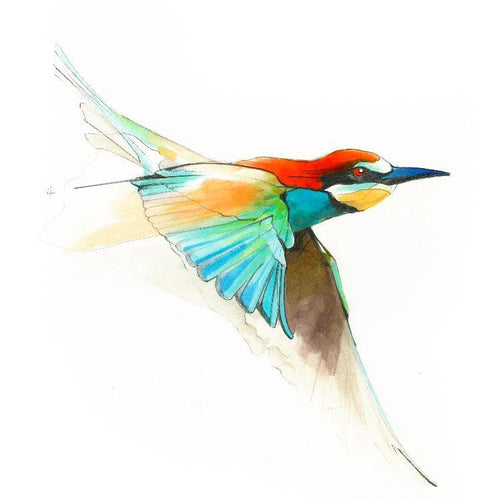 Aves01