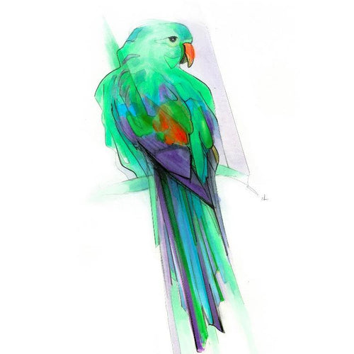 Aves 02